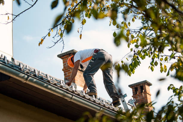 Best Flat Roofing  in Albion, MI