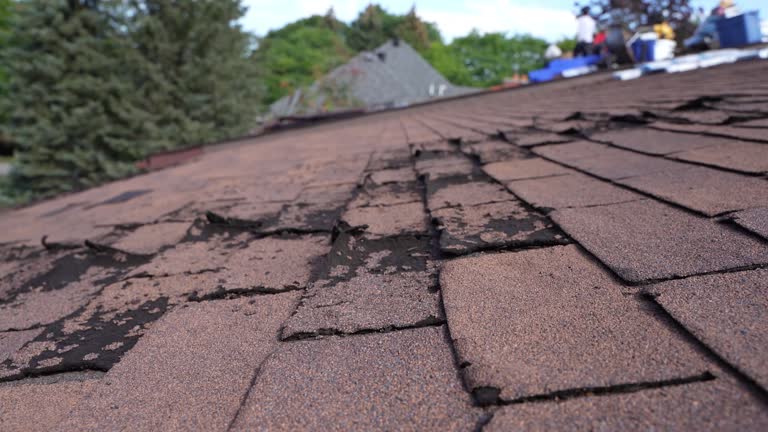 Best Emergency Roof Repair Services  in Albion, MI