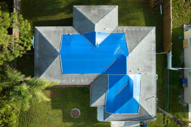 Best 4 Ply Roofing  in Albion, MI