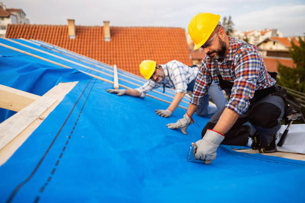 Professional Roofing Service in Albion, MI