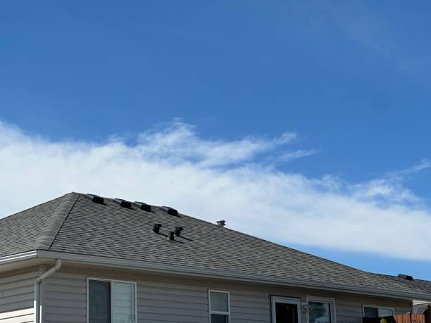Best Storm Damage Roof Repair  in Albion, MI